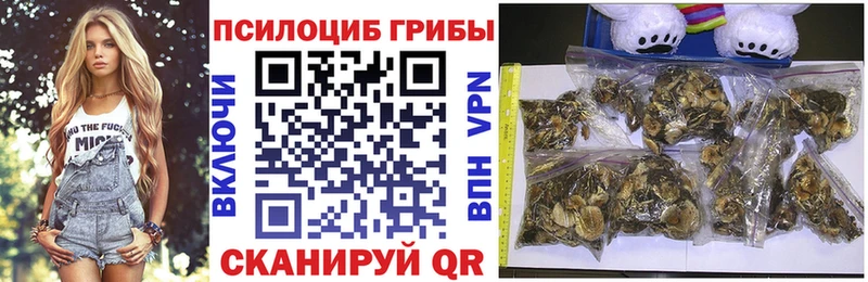 МЕГА как войти Арск Галлюциногенные грибы мицелий